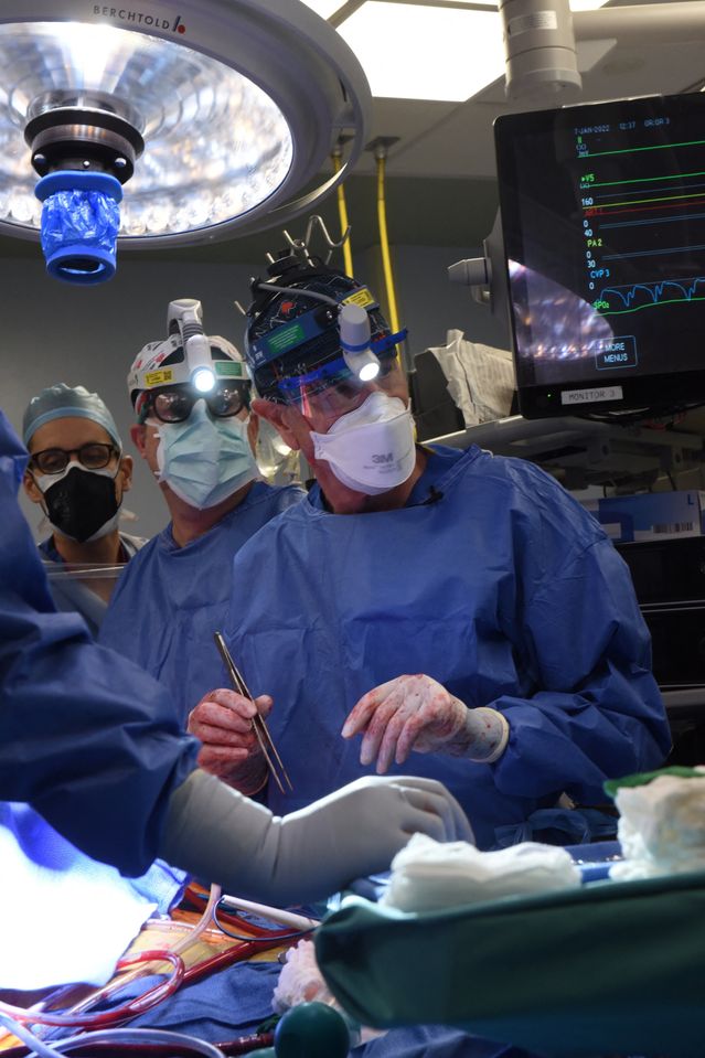 Pig-Heart Transplant Jolts Doctors Confronting Lack of Organ Donors