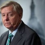 Clarence Thomas freezes order for Lindsey Graham to testify before Georgia grand jury investigating 2020 election