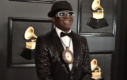 Flava Flav arrested for domestic violence in Las Vegas after he ‘grabbed woman & threw her down’